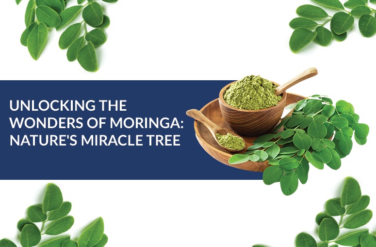 wonders-of-moringa-natures-miracle-tree